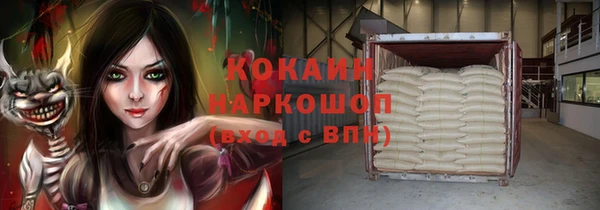 МДПВ Бородино