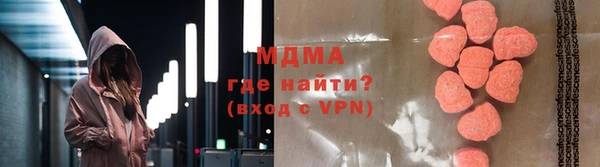 МДПВ Бородино