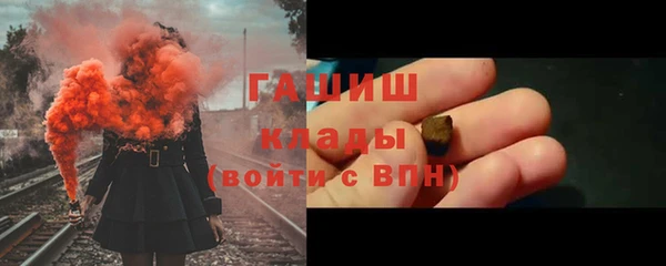 МДПВ Бородино