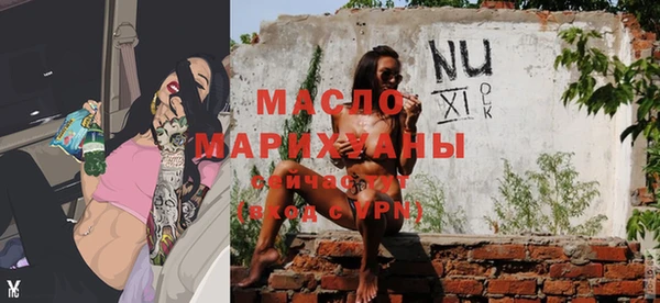 МДПВ Бородино