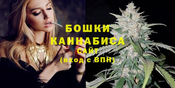 МДПВ Бородино