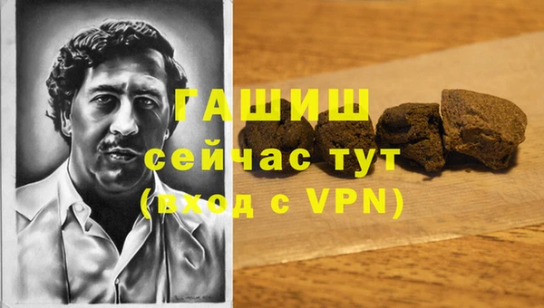 МДПВ Бородино