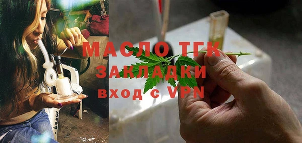 МДПВ Бородино