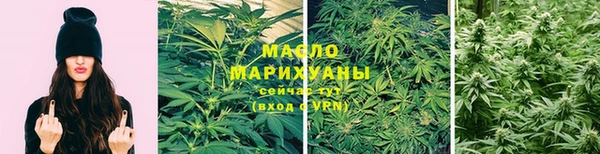 МДПВ Бородино